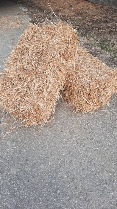 ‼️Baloti de lucerna și baloți de paie de grâu‼️