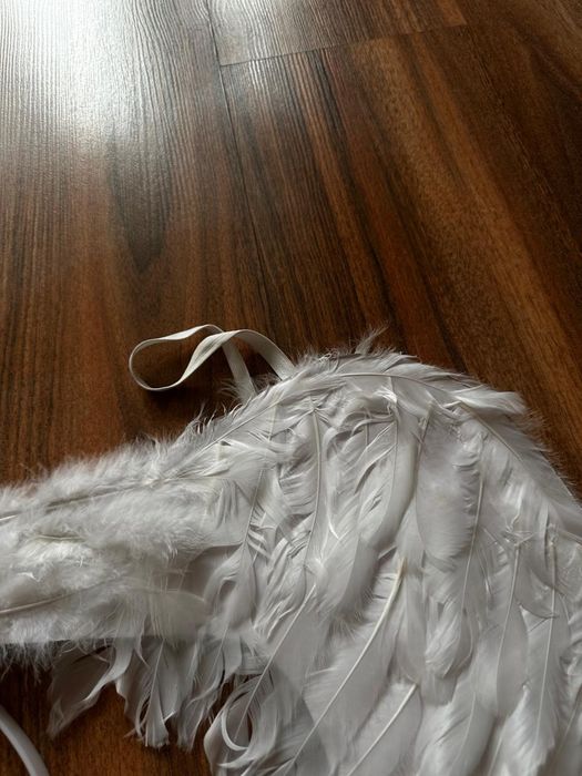 Крылья ангела и нимб