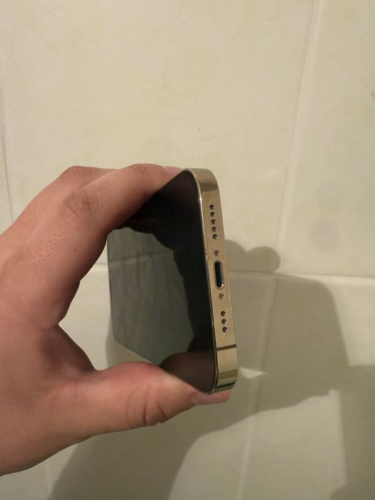 12 про 256 память