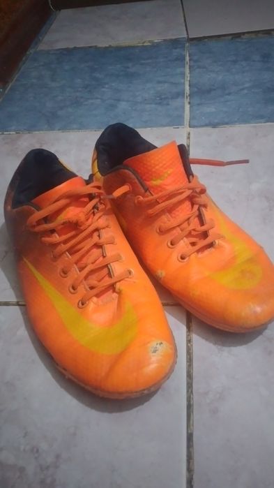 Сороконожки  меркуриал