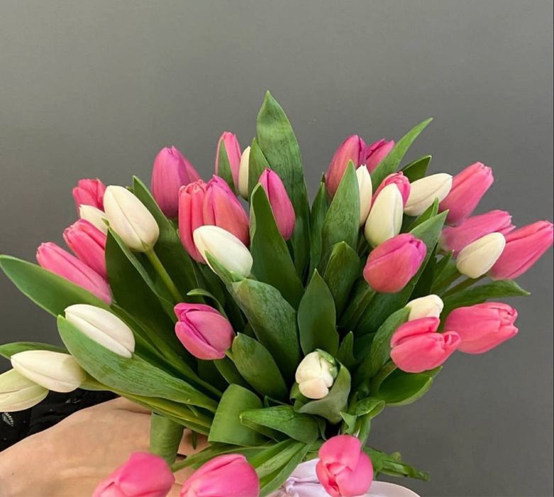 Тюльпаны в Актобе