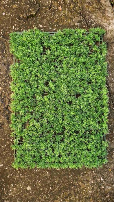 Промо Изкуствена тревa пано 60/40
