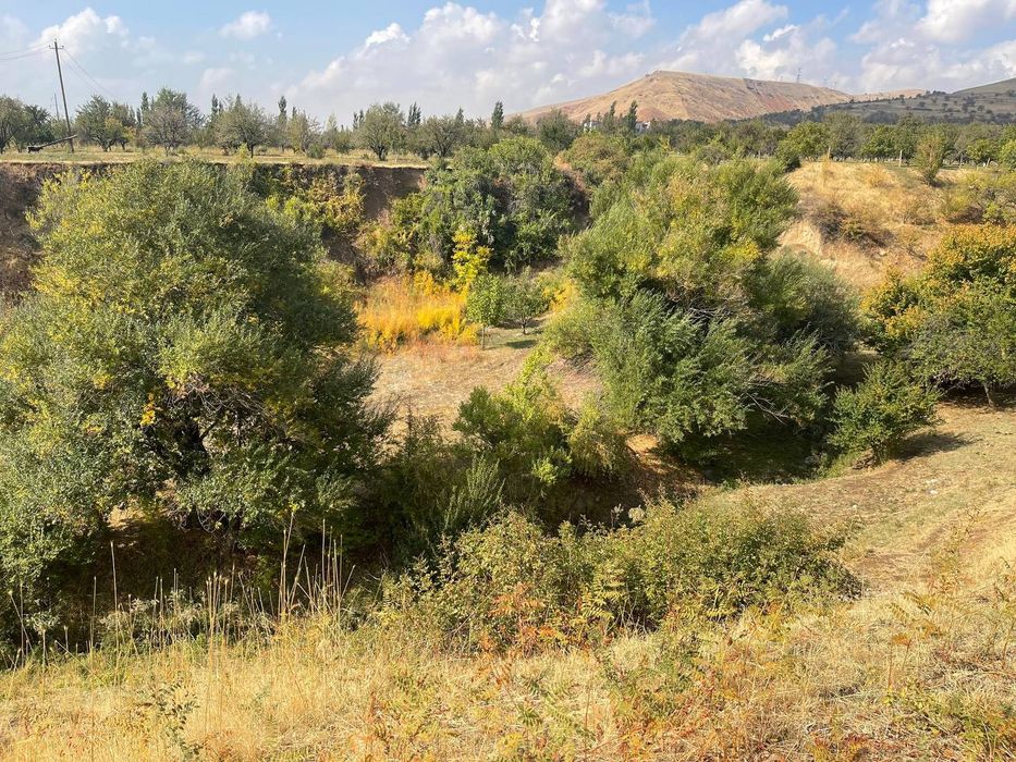 Продаётся земля 30 соток+1 гектар Таш. область Бостанлыкский рай: 240 ...