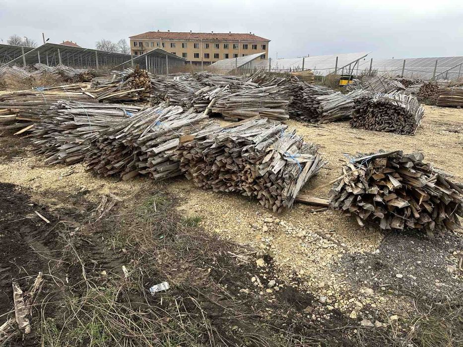 Изрезки  от Акация