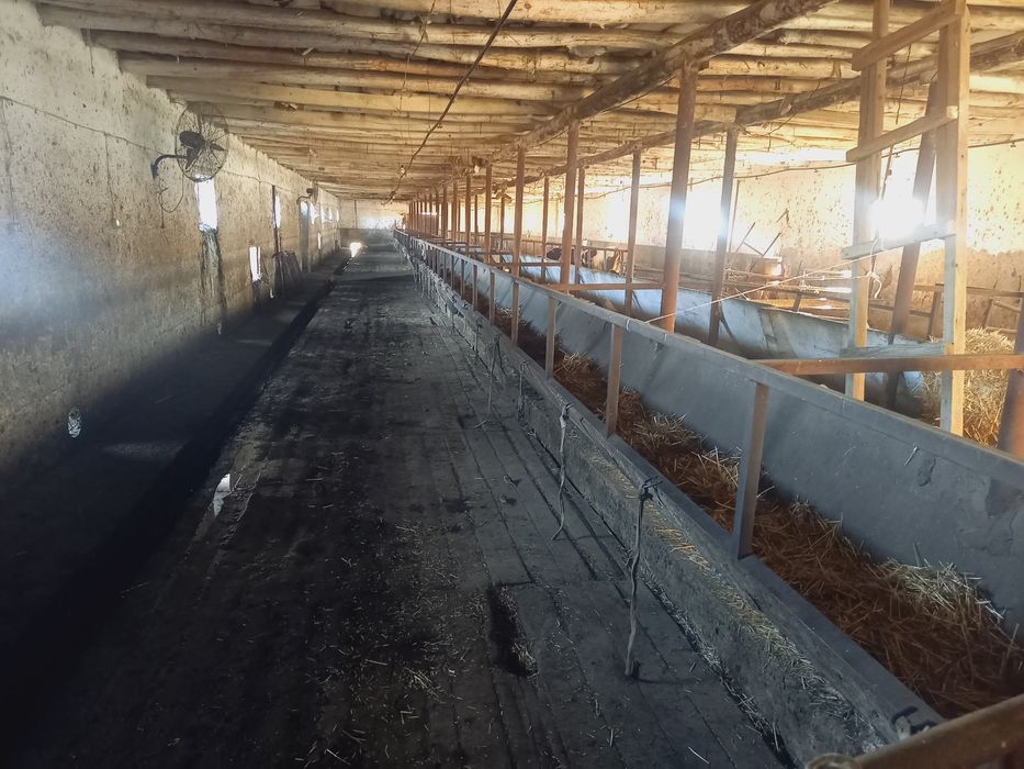 Молхона ва ишлаб чикариш учун бино