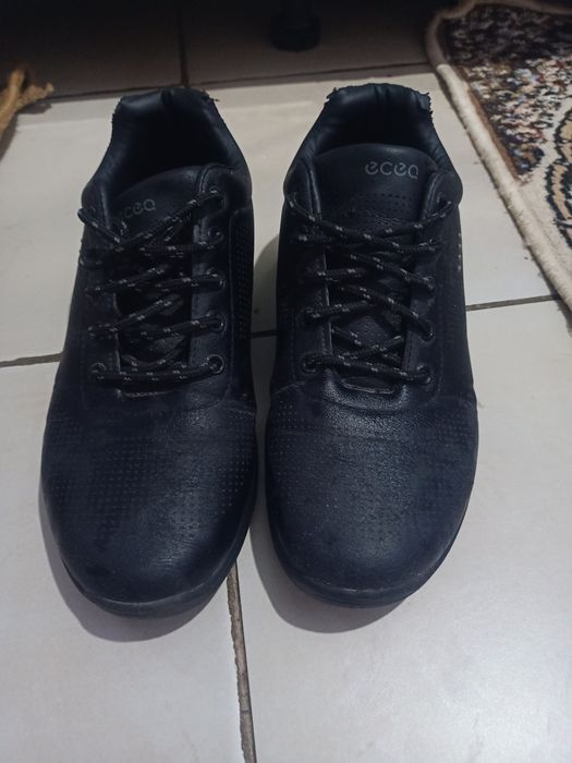 Красовка мужской