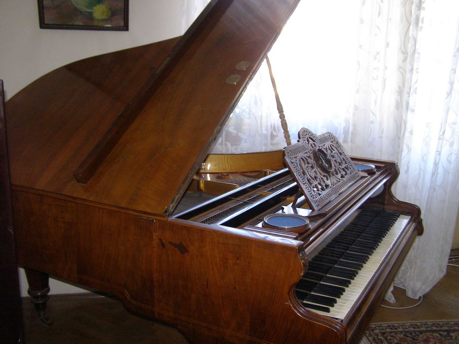 Pian Franz Wolek -Wien