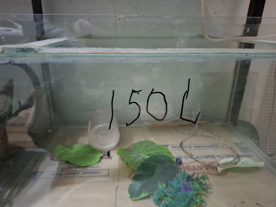 Аквариумлар Сотилади