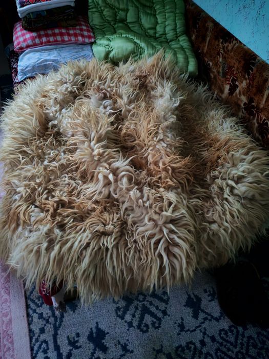 Vând cojoc de oie turcana