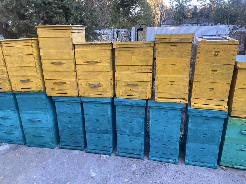 Продам улья для пчел