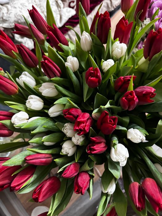 Тюльпаны букет 71 шт