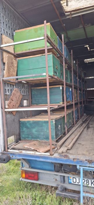 Schimb camion apicol