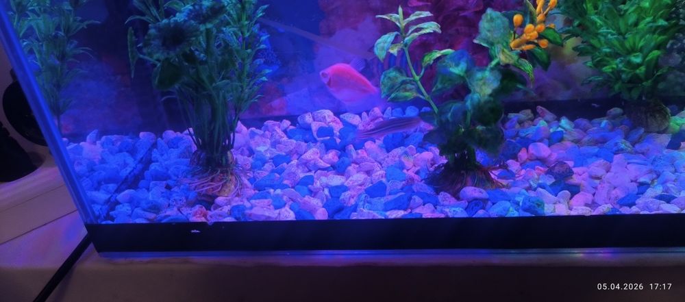 Продам аквариум объём 20л