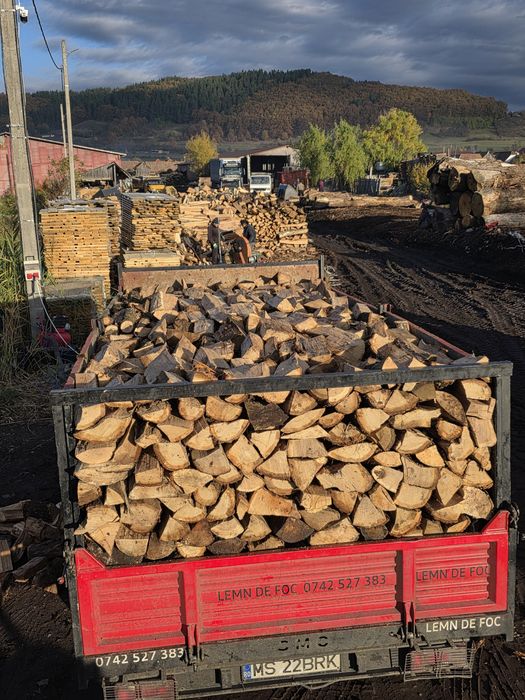 Lemne lemn de foc esență tare uscat