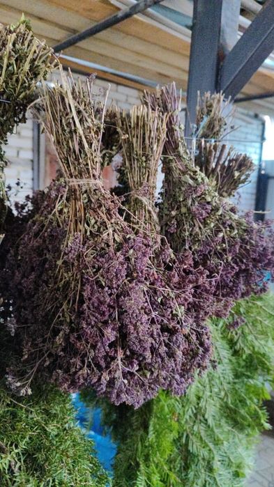 Продам не дорого веники