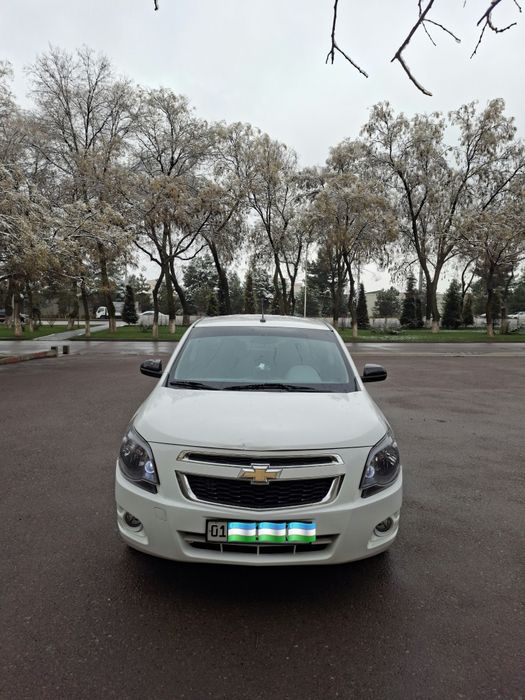 Cobalt Midnight 2025