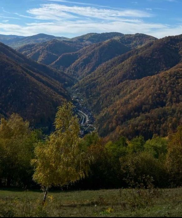 Vand teren Muntele Rece panorama spre Valea Ierii