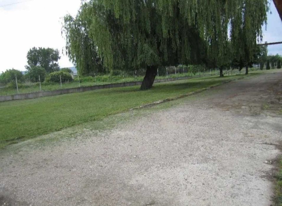 Продава се Склад в Полски Тръмбеш - 8000 кв.м за 43 €/кв.м - Снимка #15