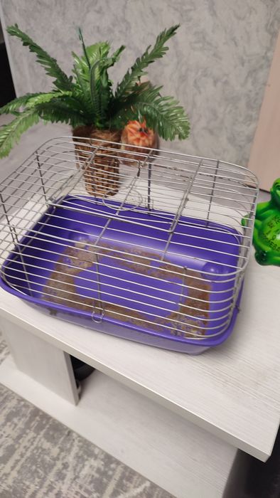 Клетка для дом животных