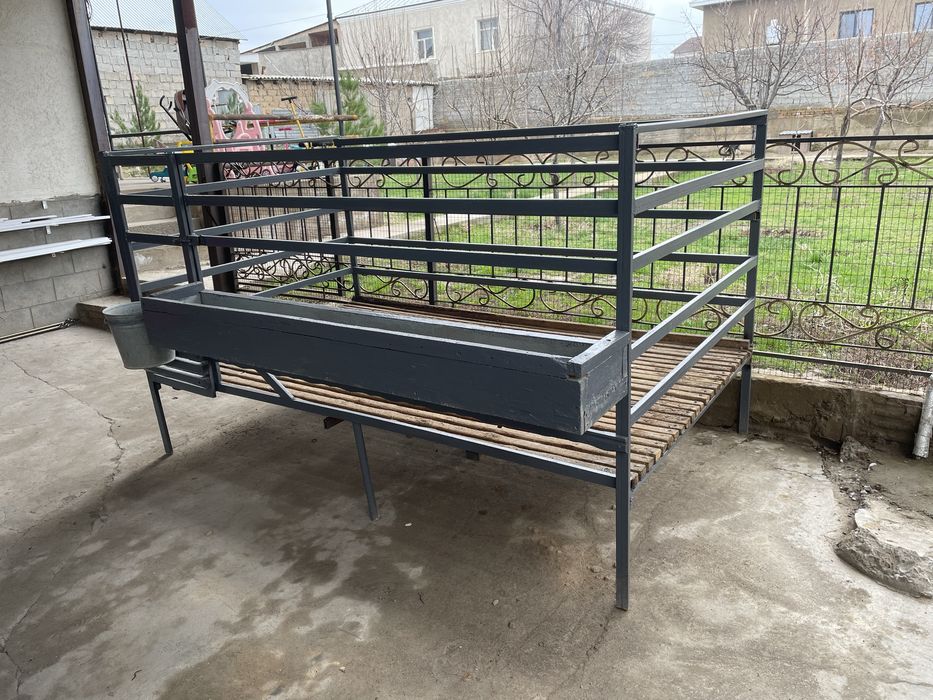 Евро кора кой кошкар