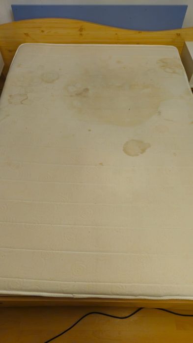 Curatare tapiterii- canapele, fotolii, mocheta,autoturisme,camioane