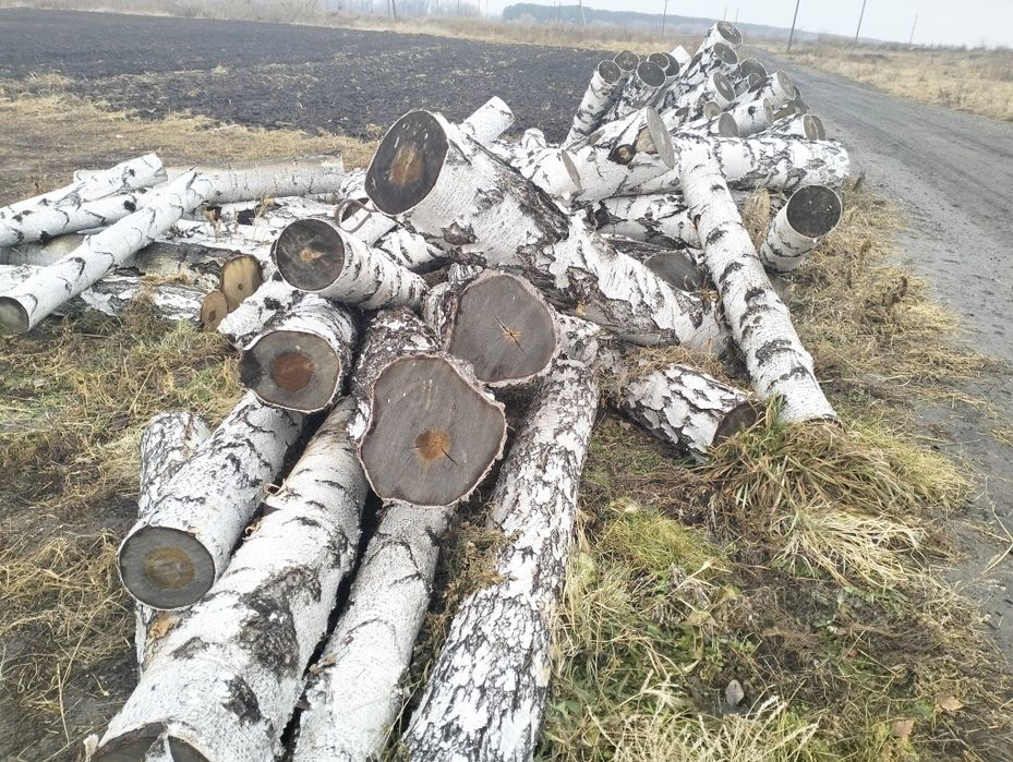 Деловой лес(кругляк)