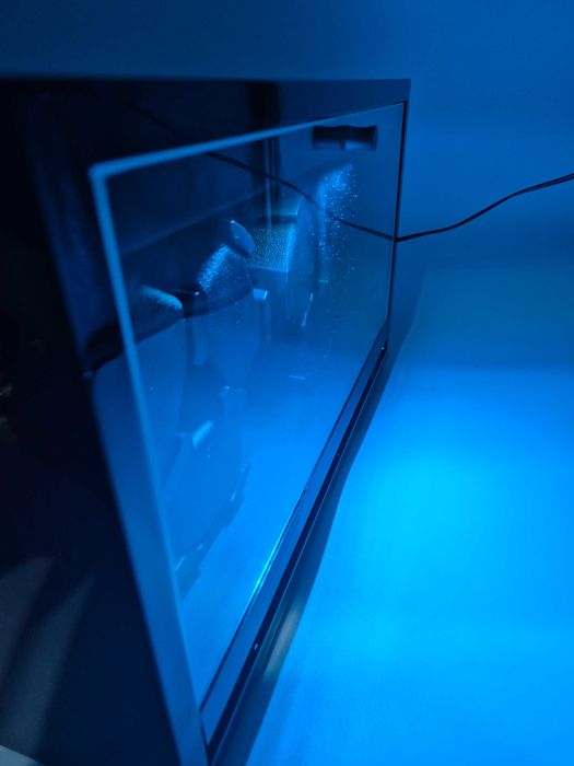 Cutie Watch Winder ANWBROAD 6 Ceasuri Automate - Red Piano Finish