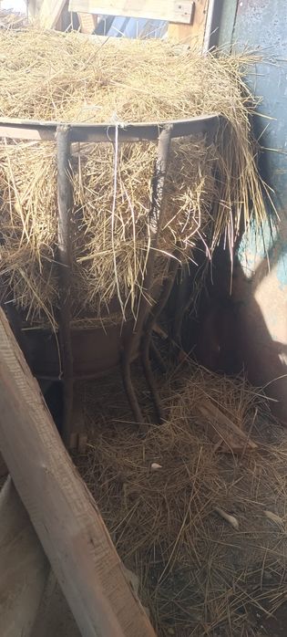 Астау для сены для скатов