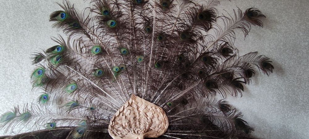 Продаю Хвост павлина натуральный