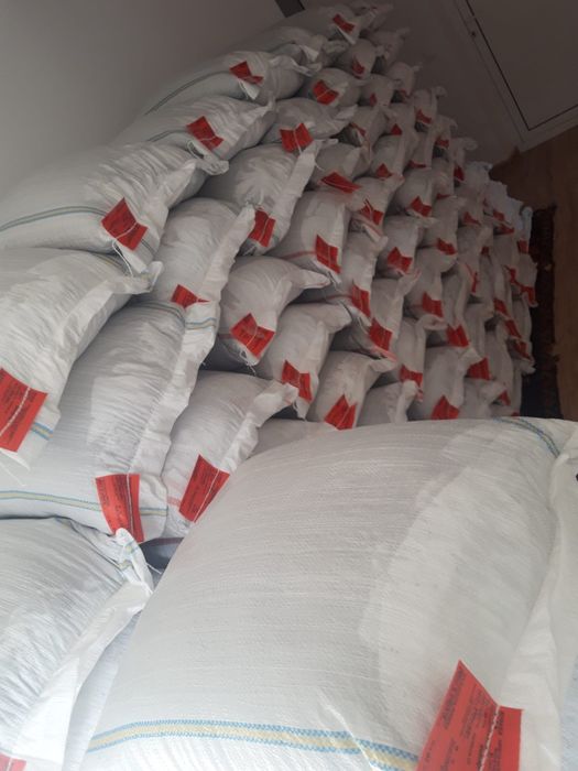 Sămânță Lucerna Certificata, Trifoi, Bromus, Sorg, Sudan, Iarba