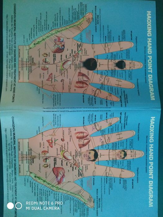 Апарат для проверки организма