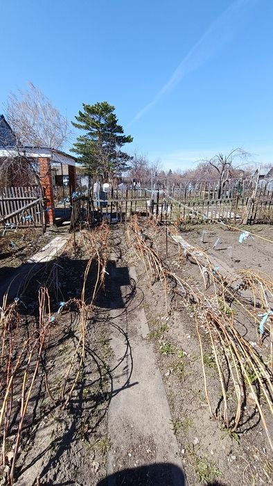 Дача в СО Чапаевское