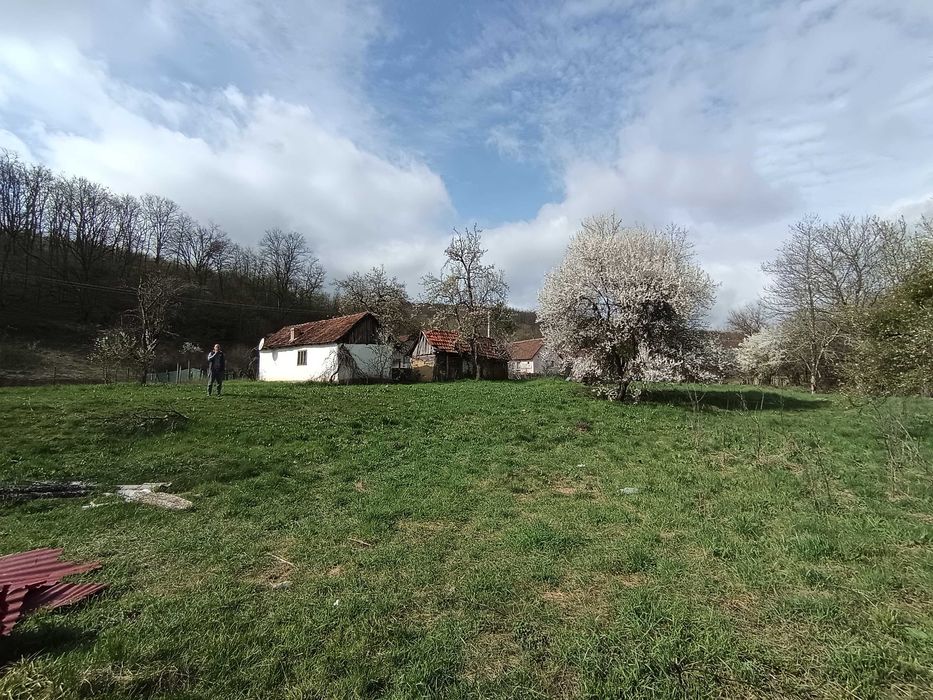 Tern cu casa bătrânească de vânzare