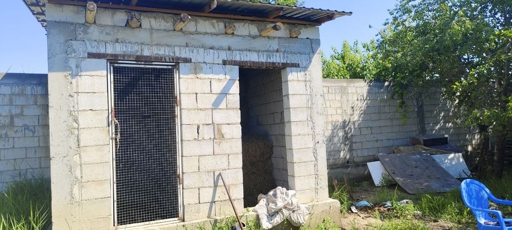 Продается дача готовый бизнес