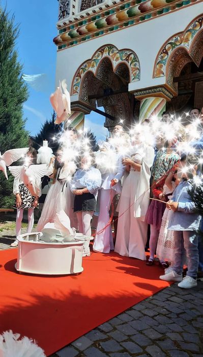 Porumbei evenimente / nunta / botez