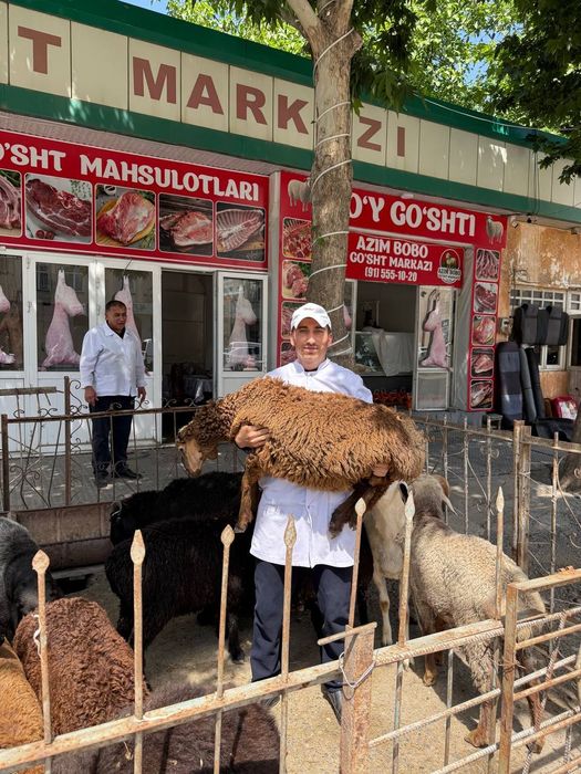 Қурбонлик учун куйлар