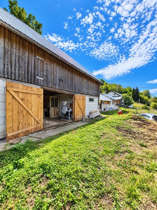 Vand proprietate cu teren – Sohodol Alba