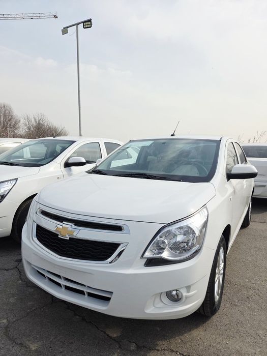 **Cobalt style msm 2026