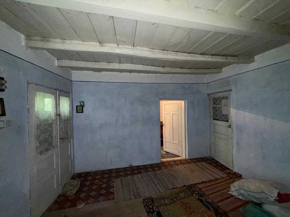 Casa si teren în satul Băbușa, comuna Băcești, județul Vaslui