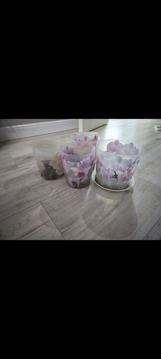 Продам кашпо для орхидей