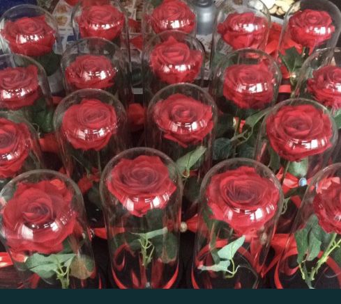 Trandafir rosu in cupola de 17-20-25 cm