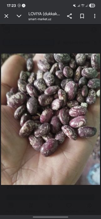 Bizni kanalda qoling