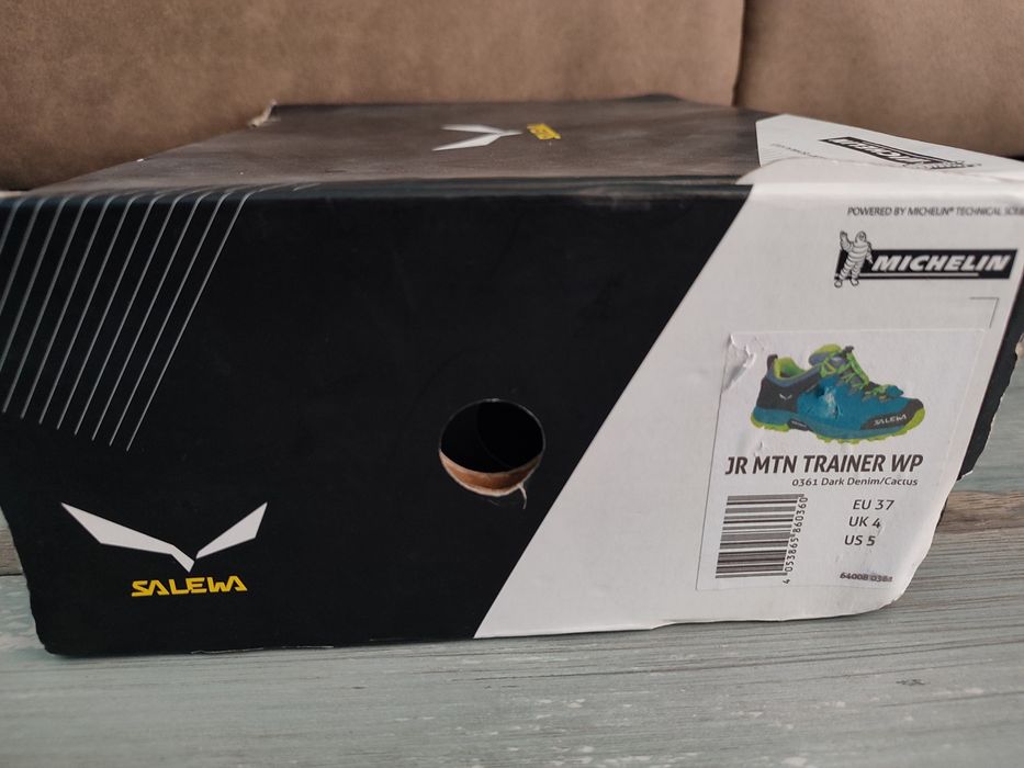 Salewa MTN Trainer WP