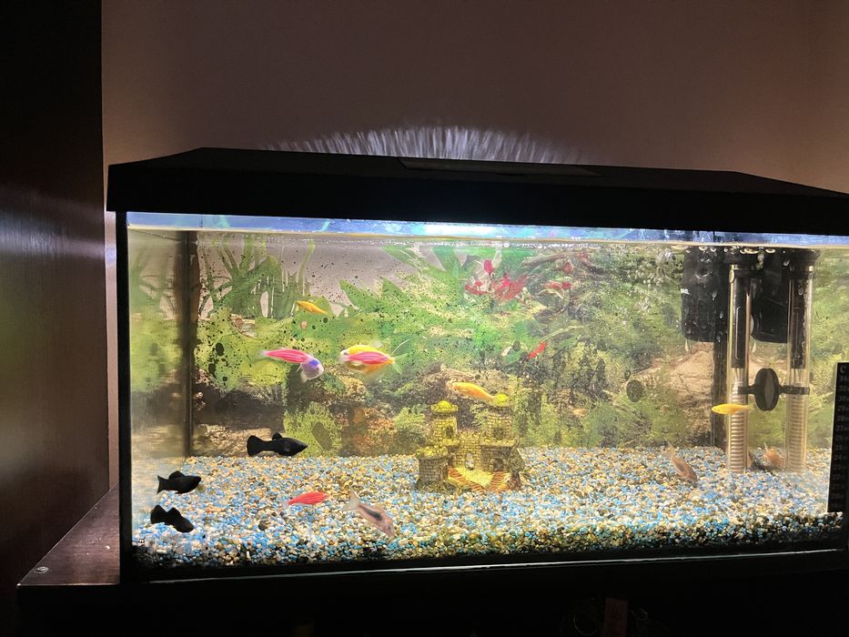 Vand acvariu echipat complet 60l