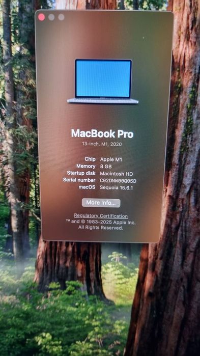 Macbook Pro M1 8/256