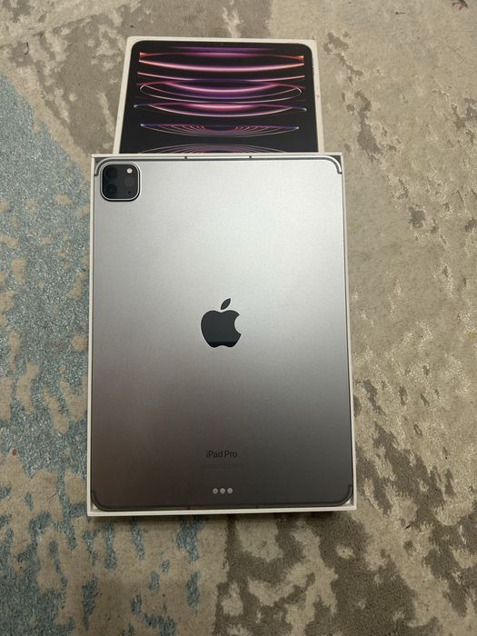 iPad pro 11 M2 (Wi-fi Cellular 128gb)