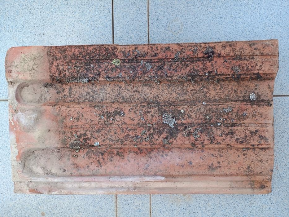 Tigla ceramica veche