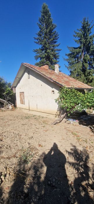 Къща с..Ветрен на 300м от Дунав