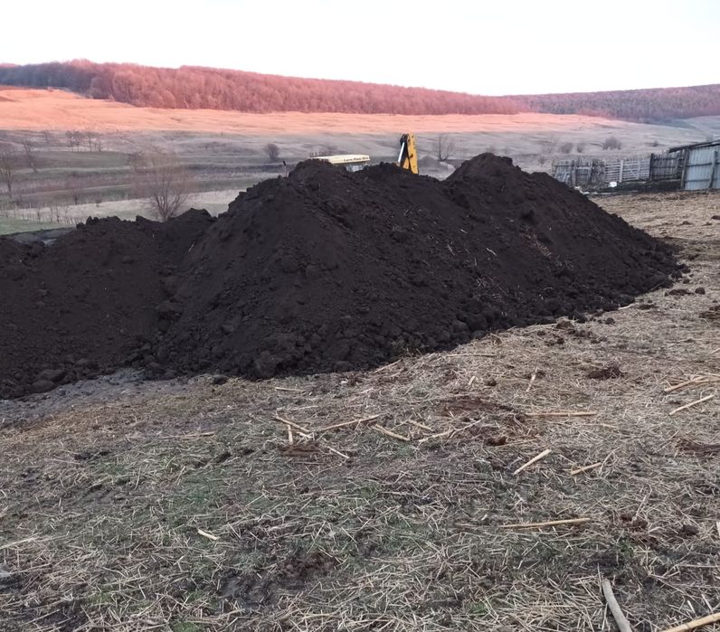 Pamant vegetal, compost pentru sere/solare, balst, nisip.