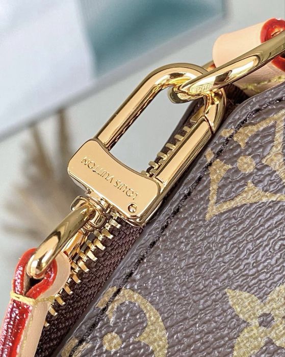 Louis Vuitton Multipass